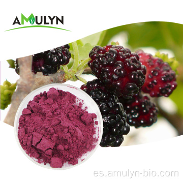 Polvo MulBerry púrpura liofilizado de extracto de fruta